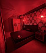 Миниатюра Салон Мулен руж Центральный Фотография 